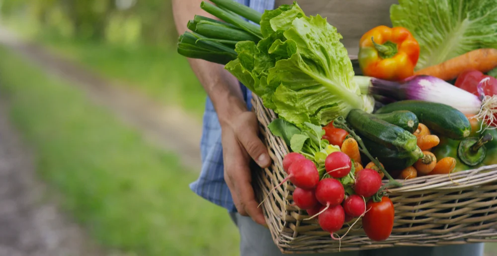 alimentation femme enceinte